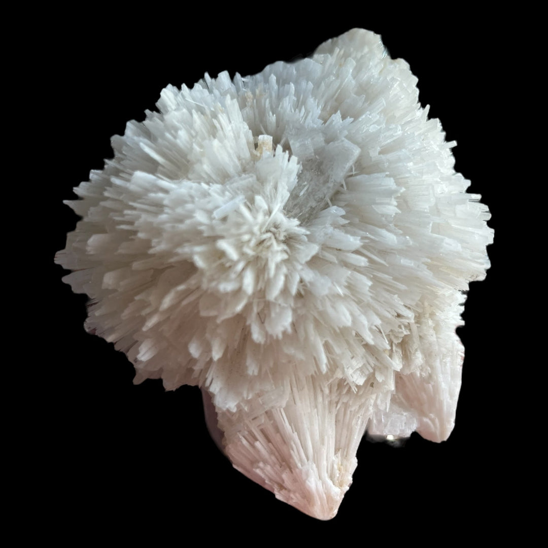 Scolécite apophyllite Maharashtra Inde 