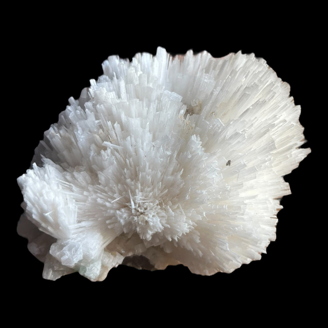 Scolecit-Apophyllit Maharashtra Indien DW11