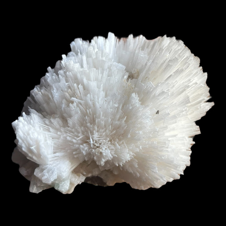 Scolecit-Apophyllit Maharashtra Indien DW11