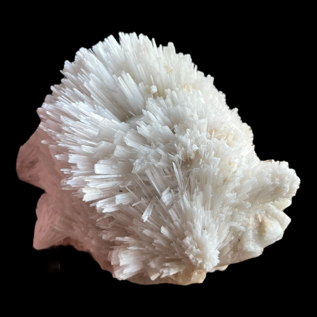 Scolecit-Apophyllit Maharashtra Indien DW11