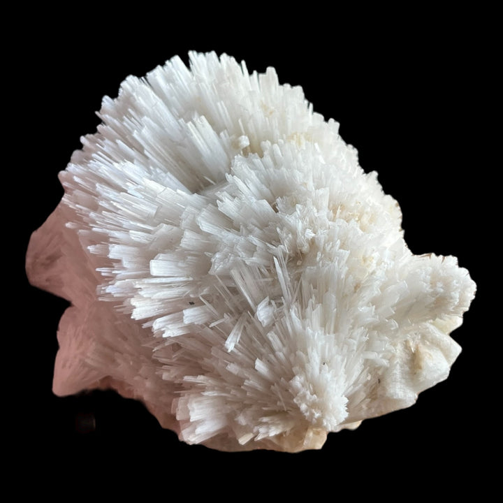 Scolecit-Apophyllit Maharashtra Indien DW11