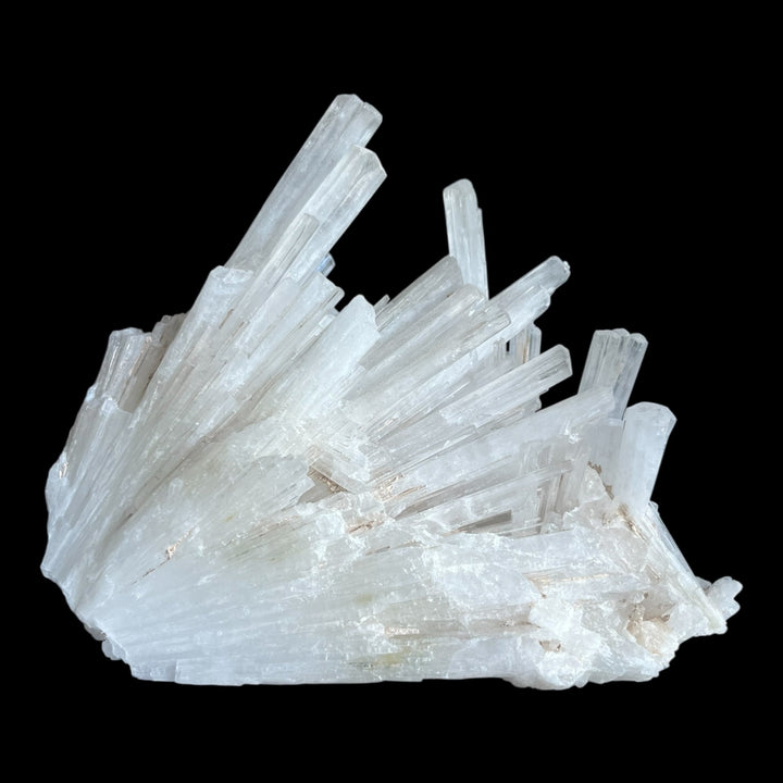 SCOLECITE Mumbai Inde