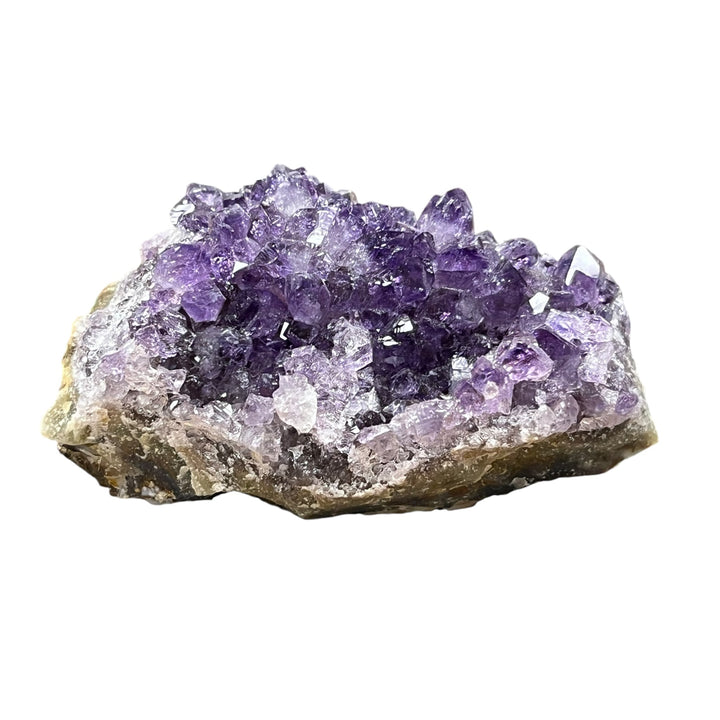 Phantom amethyst druse, quartz and hematite, Brazil AM56