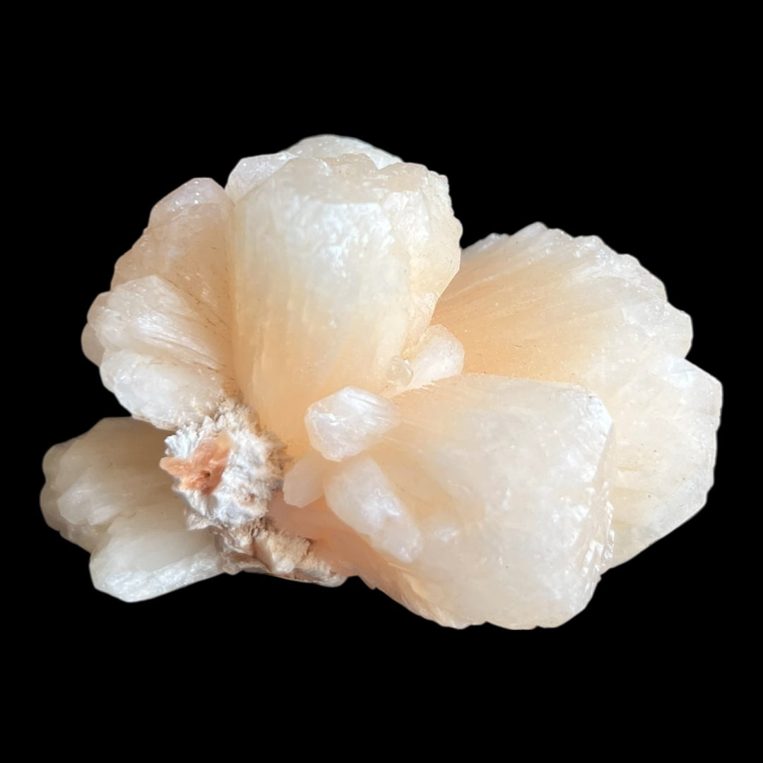 Heulandite Stellerite on Mordenite Maharashtra India DW147