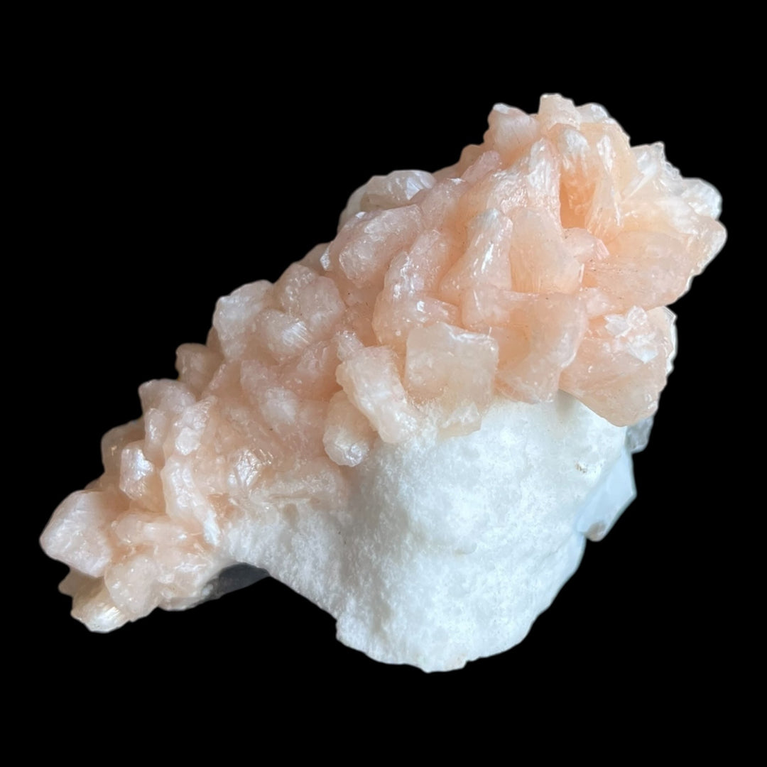 Stellerit auf Mordenit, Maharashtra, Indien, DW152