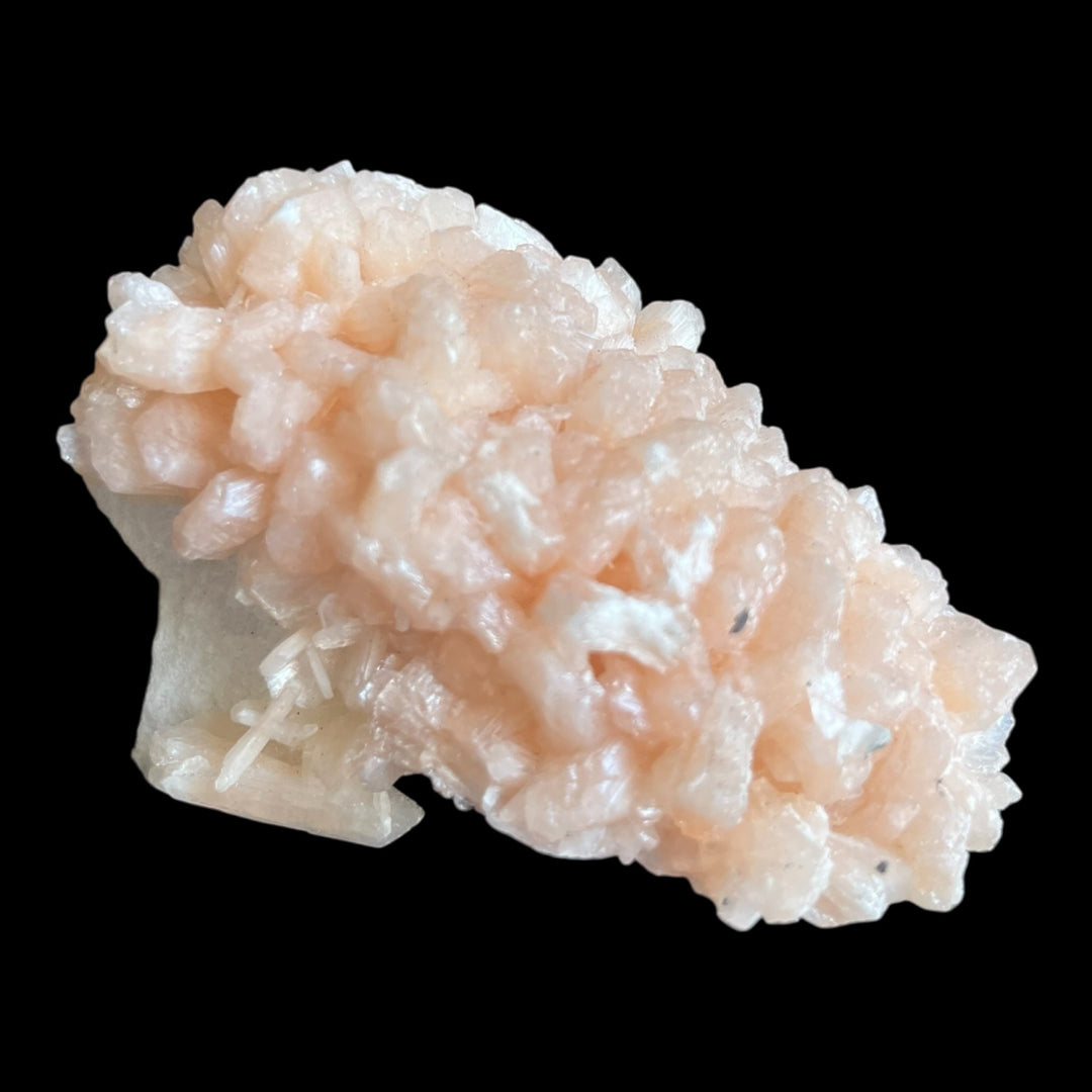 Stellerit auf Mordenit, Maharashtra, Indien, DW152