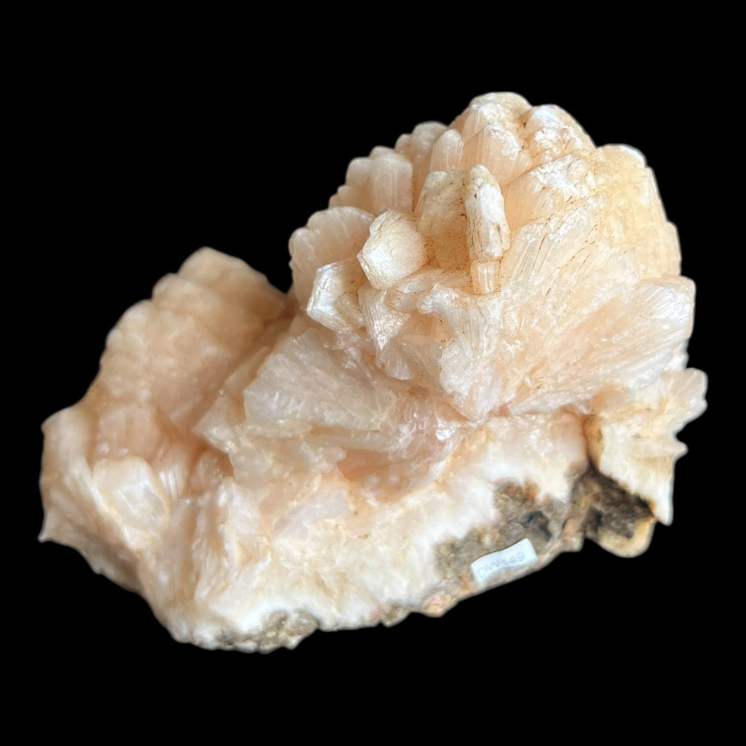 Stellerite Maharashtra Indien DW149