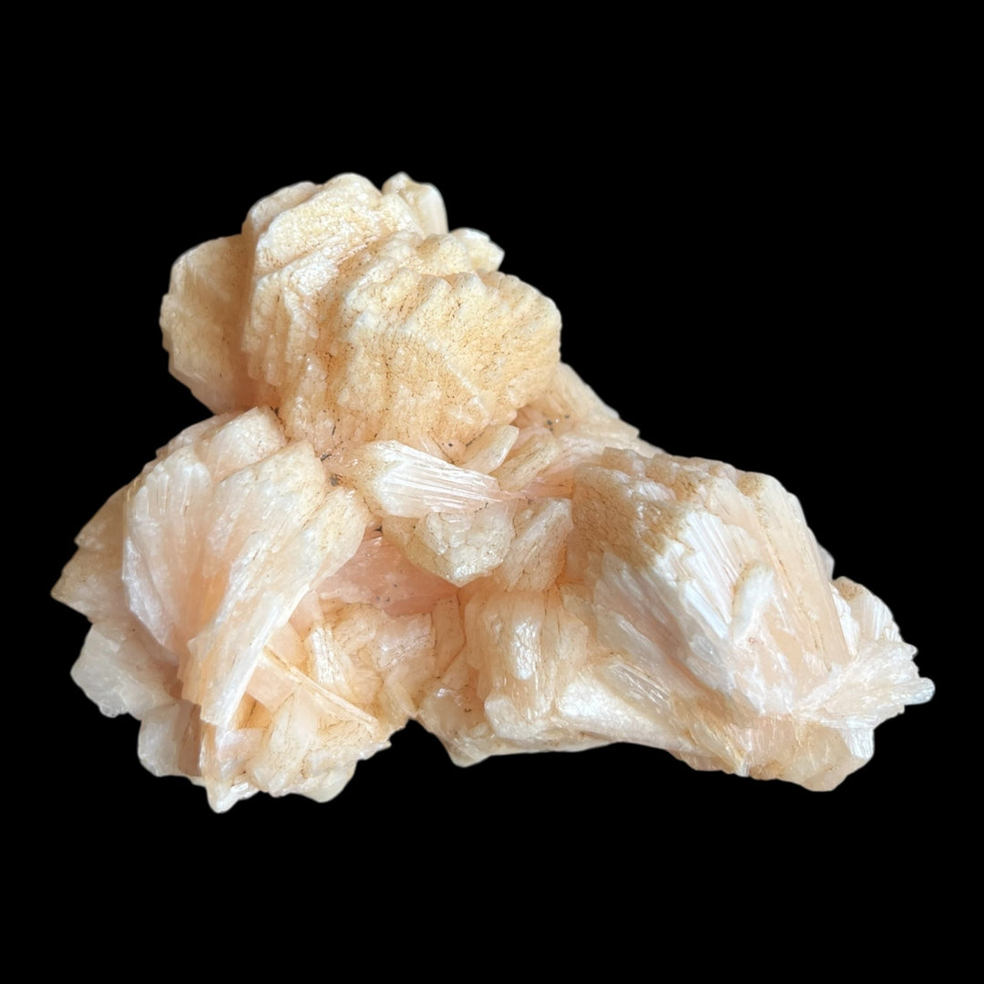 Stellerite Maharashtra Indien DW149