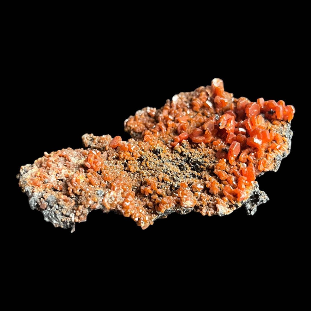 Vanadinite goethite Taouz Maroc DR47