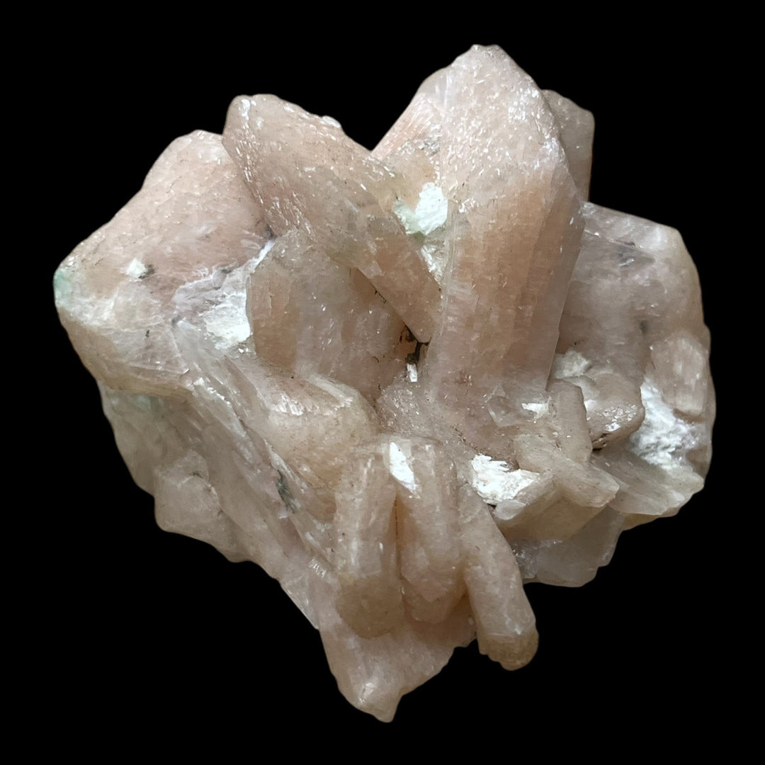 Rosa Stilbit Maharashtra
 Indien C61