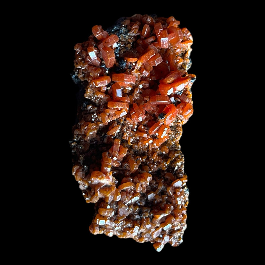 Vanadinite sur goethite Taouz Maroc DR46