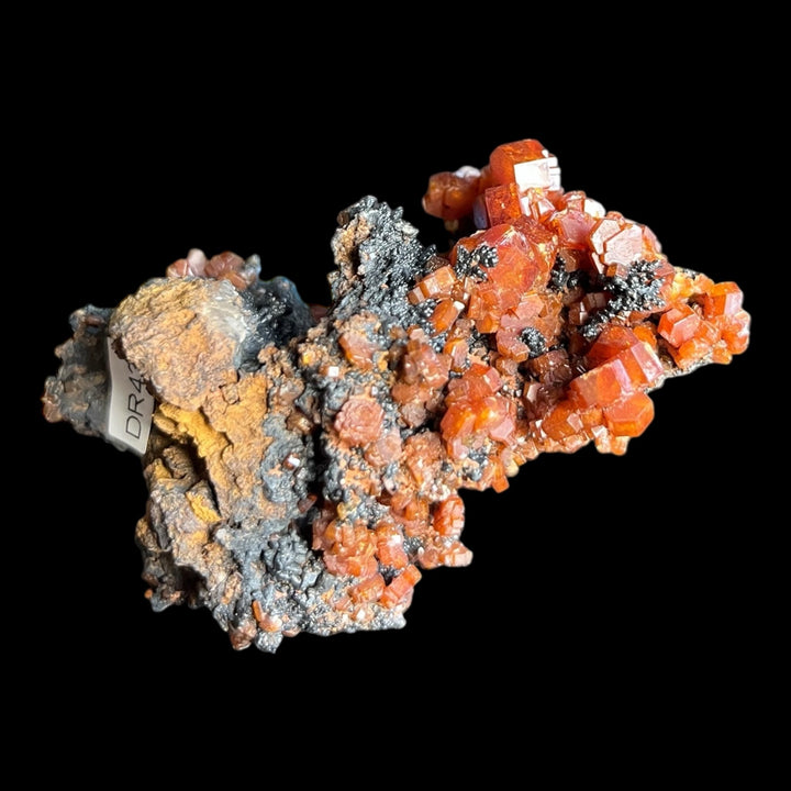 Vanadinite goethite Maroc DR43