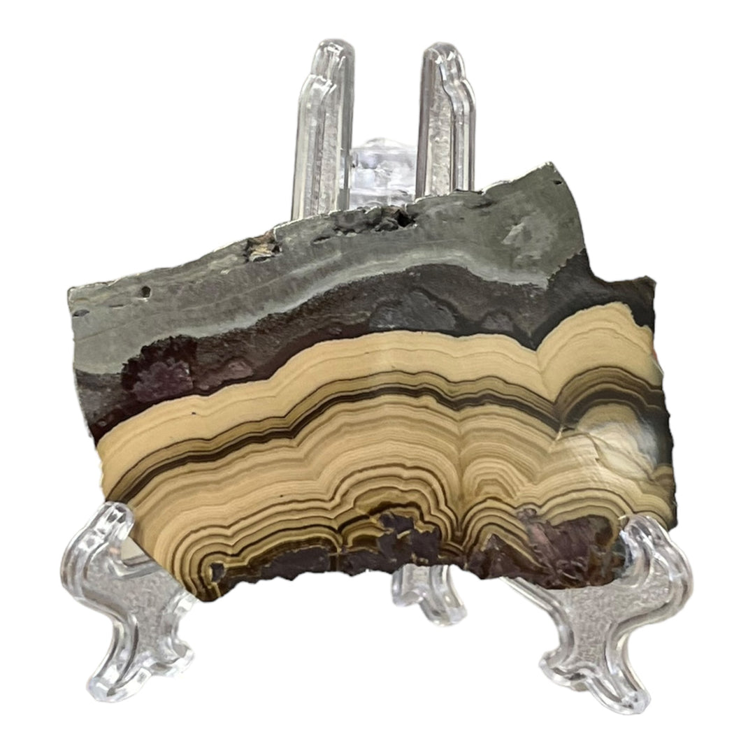 Polished Schalenblende Poland SHB37