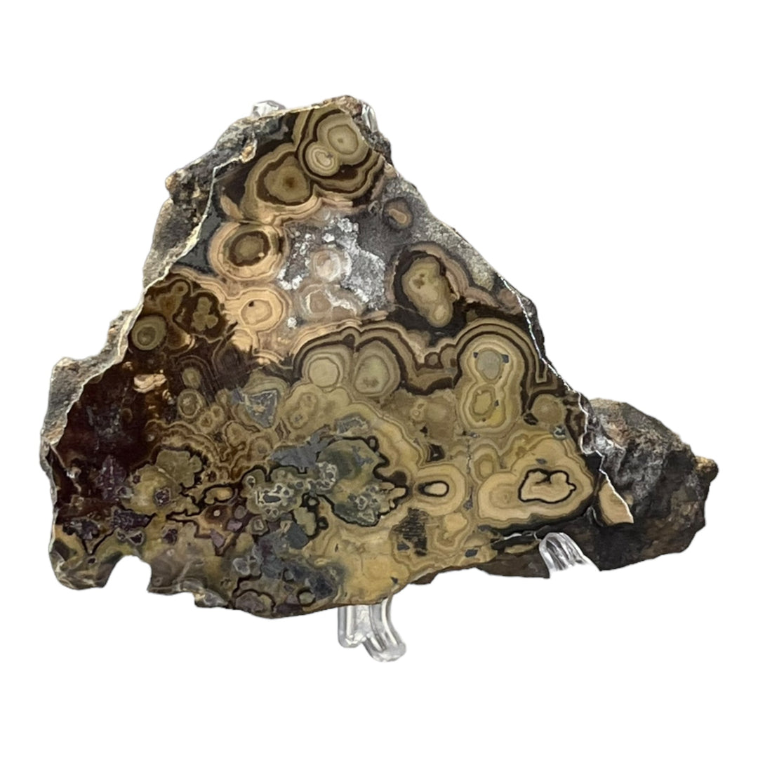 Schalenblende Poland SHB64