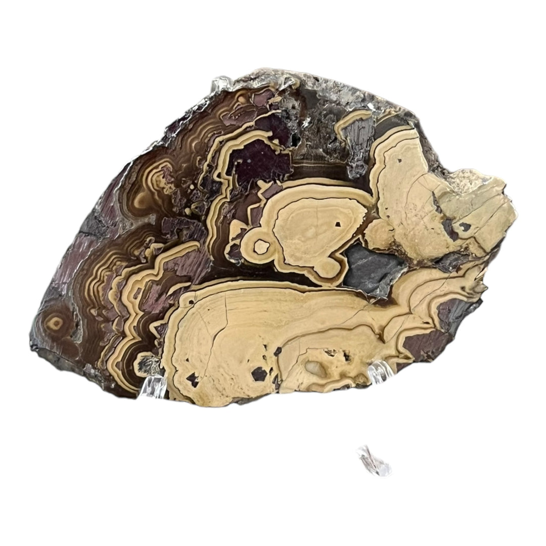 Polished Schalenblende Poland SHB55