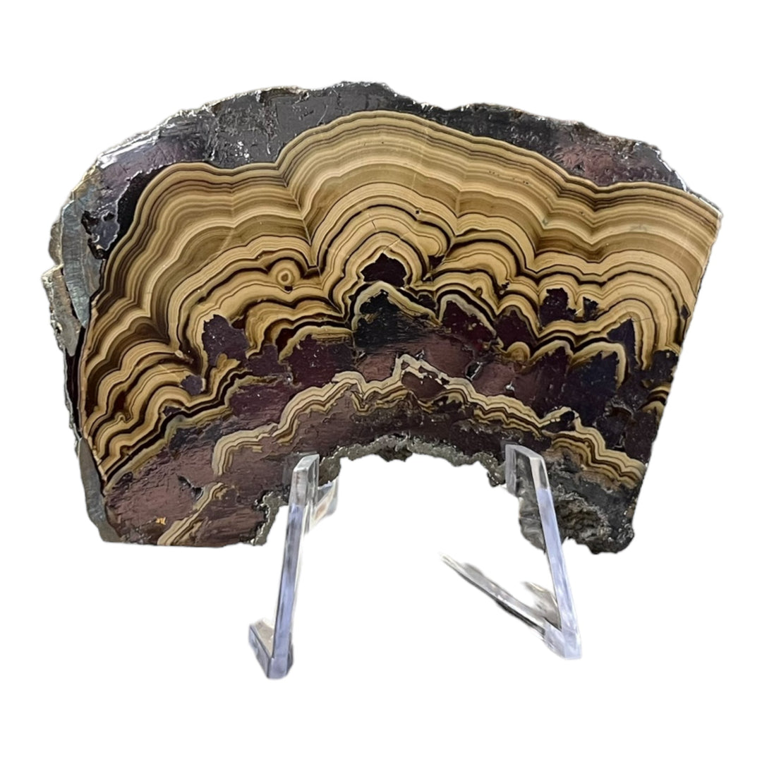 Polished Schalenblende Poland SHB70