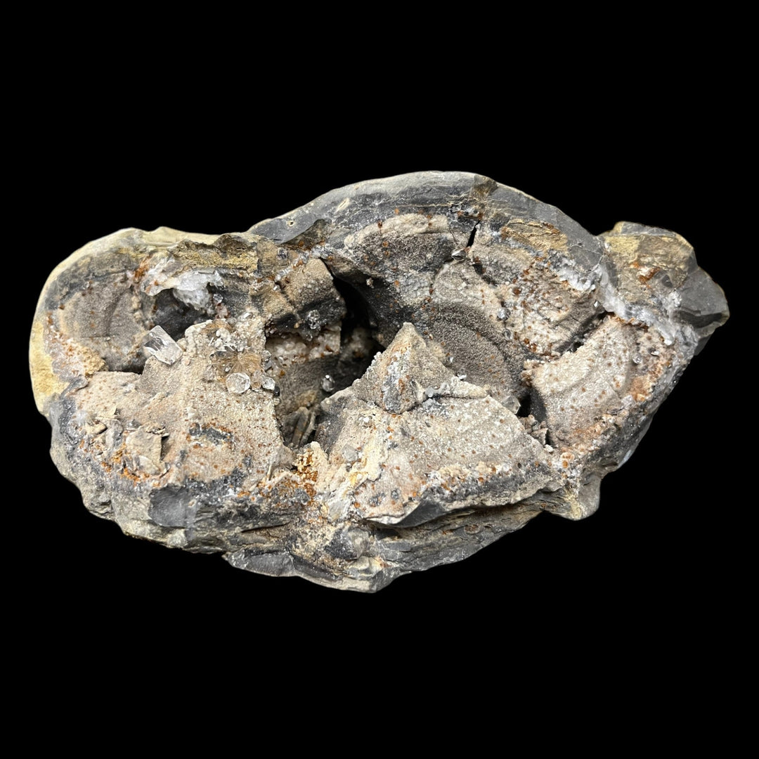 Diamond quartz in septarian nodule, Hautes-Alpes, France, DB31