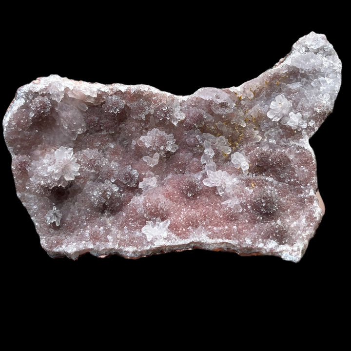 Kaktusquarz auf rotem Chalcedon, Marokko DR78