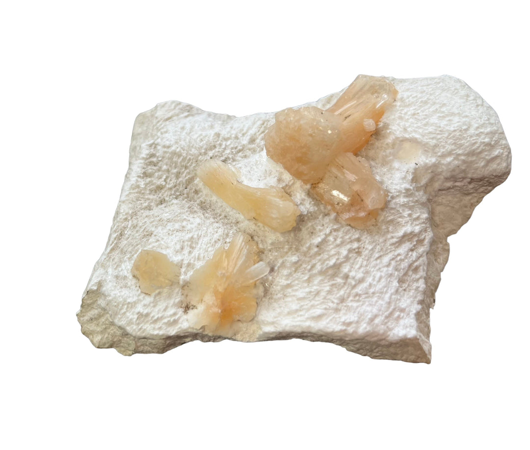 Stellerite on mordenite India DW145