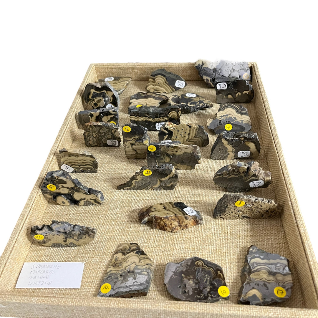 Polished Schalenblende Poland