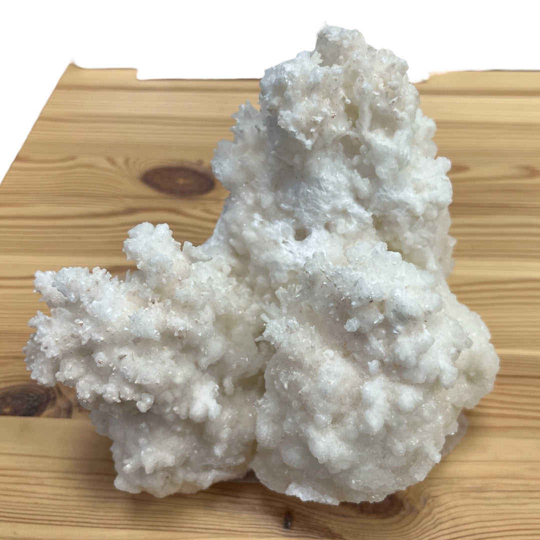 Aragonite var Flos Ferri 16cm DR15