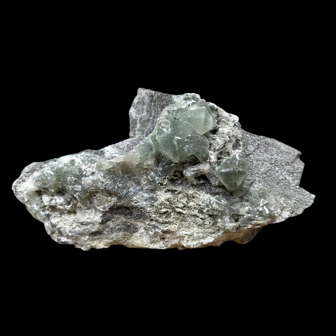 Prehnite Alps France DB217