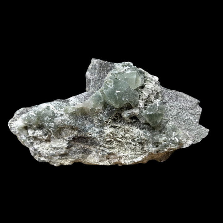 Prehnite Alps France DB217