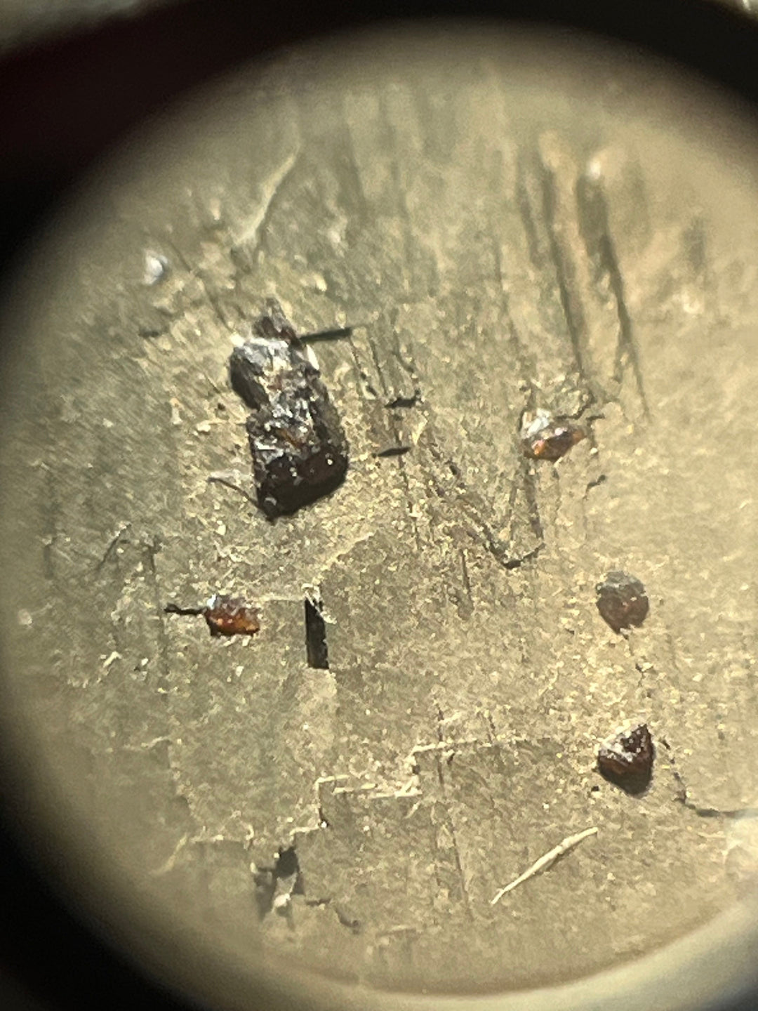 Sphalérite sur Pyrite Niccioleta Italie DW93