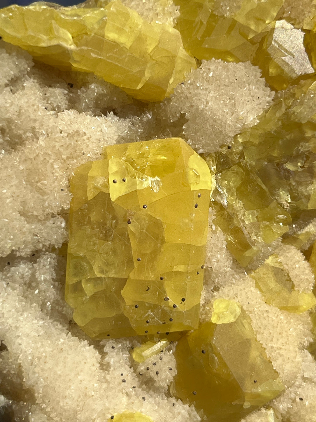 Soufre natif sur Aragonite Sicile