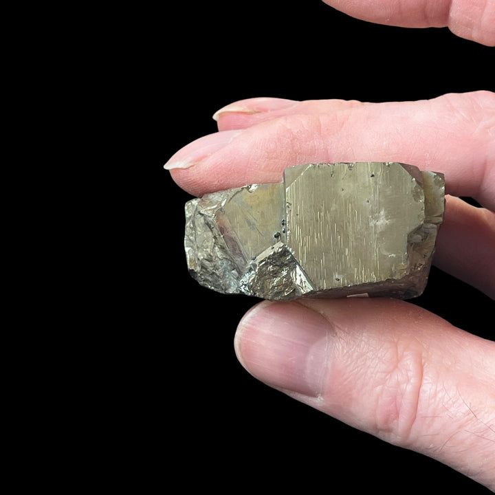 Sphalérite sur Pyrite Niccioleta Italie DW93