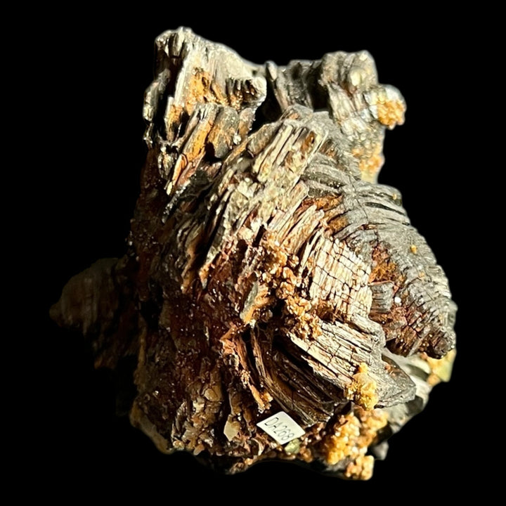 Pyrrhotit Calcit Chalkopyrit Trepca Kosovo DA268