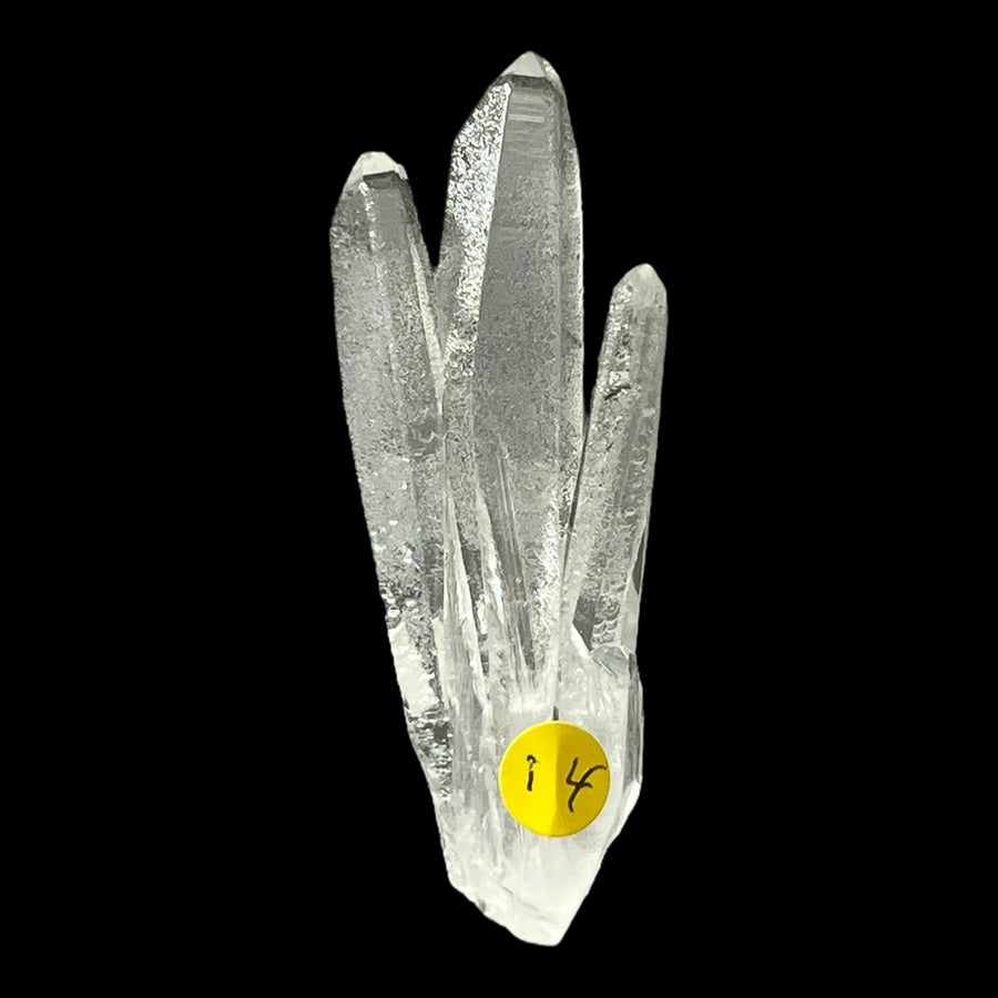 Druse cristal de roche Brésil QTZ39