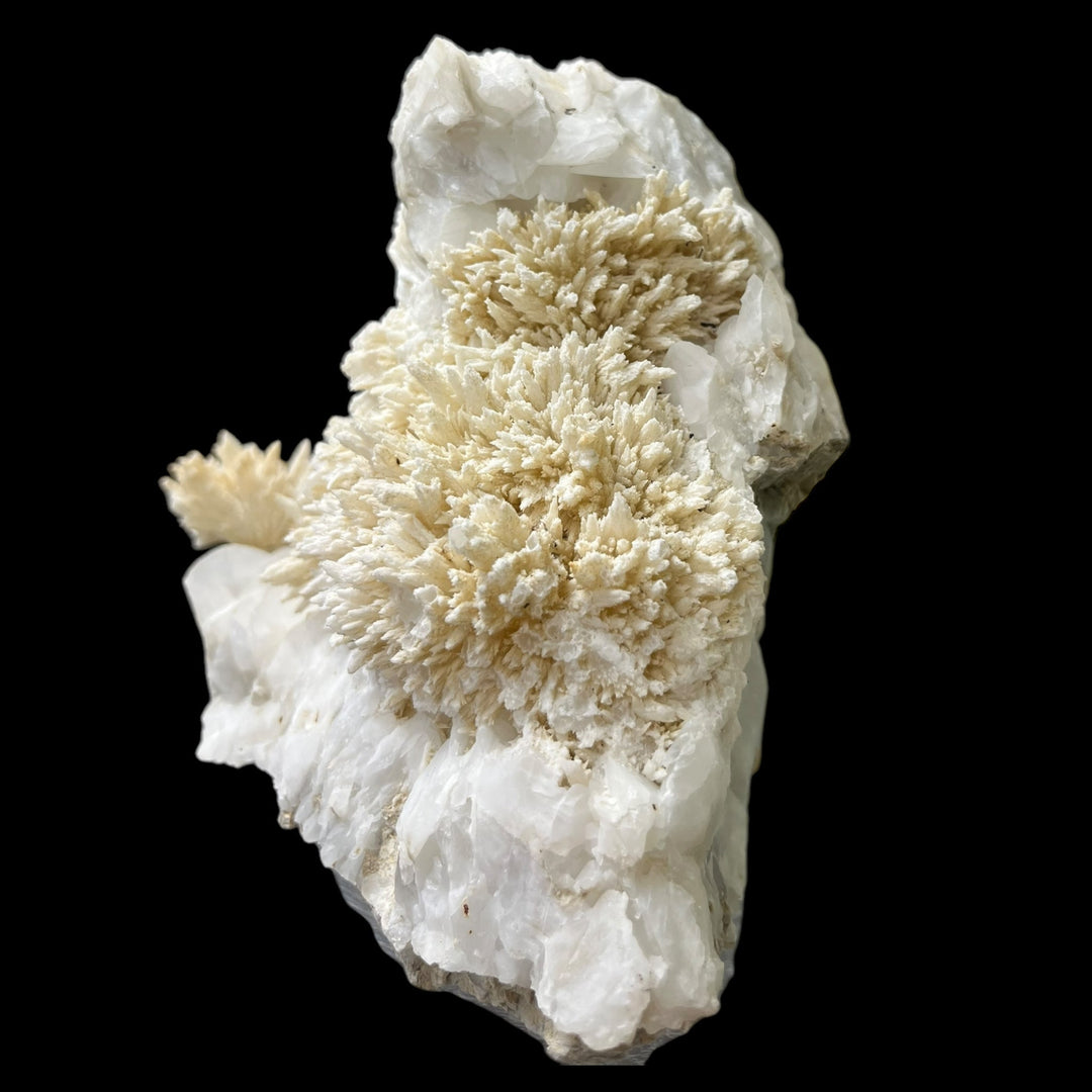 Célestine et calcite Eyguians France