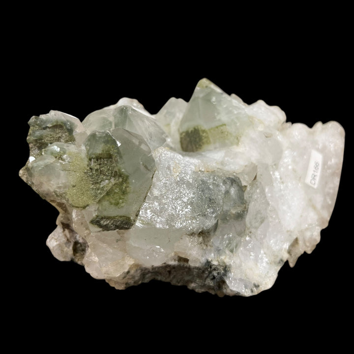 Chloritischer Quarz, Les 2 Alpes, Frankreich DR166