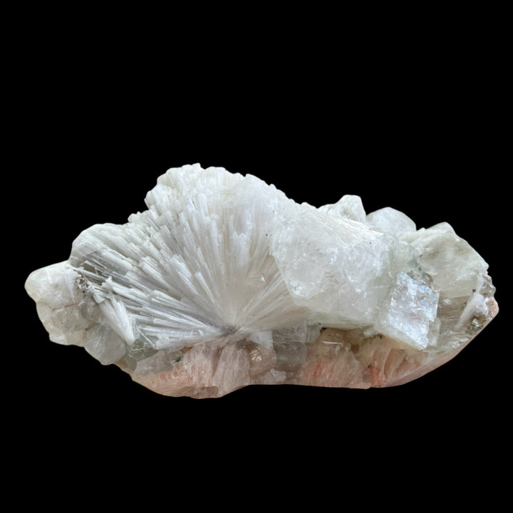 SCOLECITE et apophylite sur stilbite Maharashtra Inde