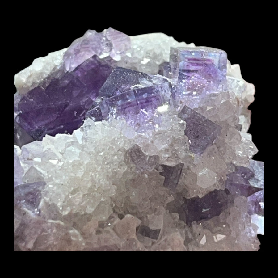 Fluorine Berbes Espagne FLS40