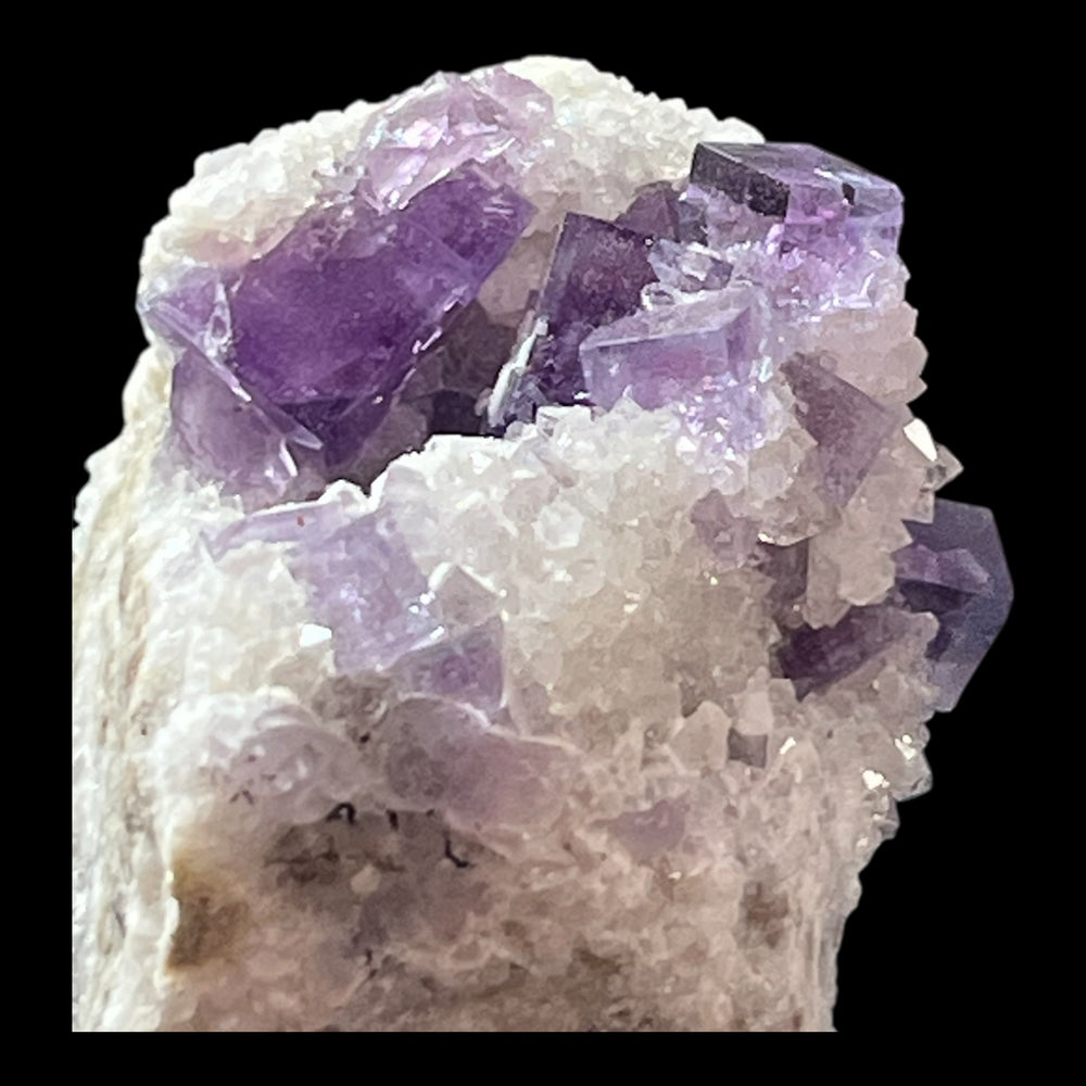 Fluorine Berbes Espagne FLS40