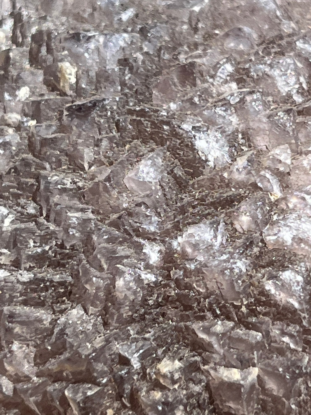 Fluorine L’Avellan France DR298
