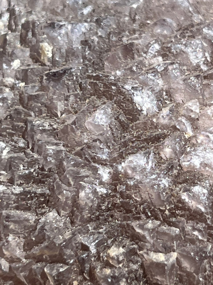 Fluorine L’Avellan France DR298