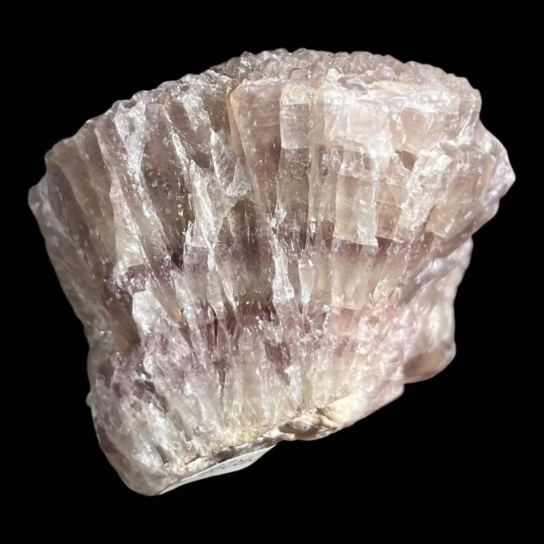 Fluorine L’Avellan France DR298