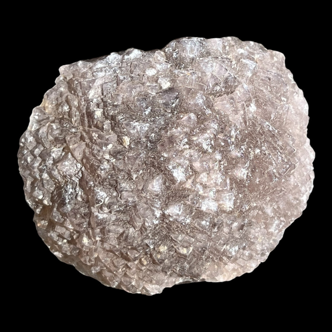Fluorine L’Avellan France DR298
