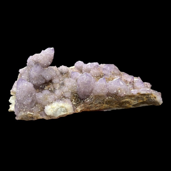 Amethyst cactus Mpumalanga South Africa DB117
