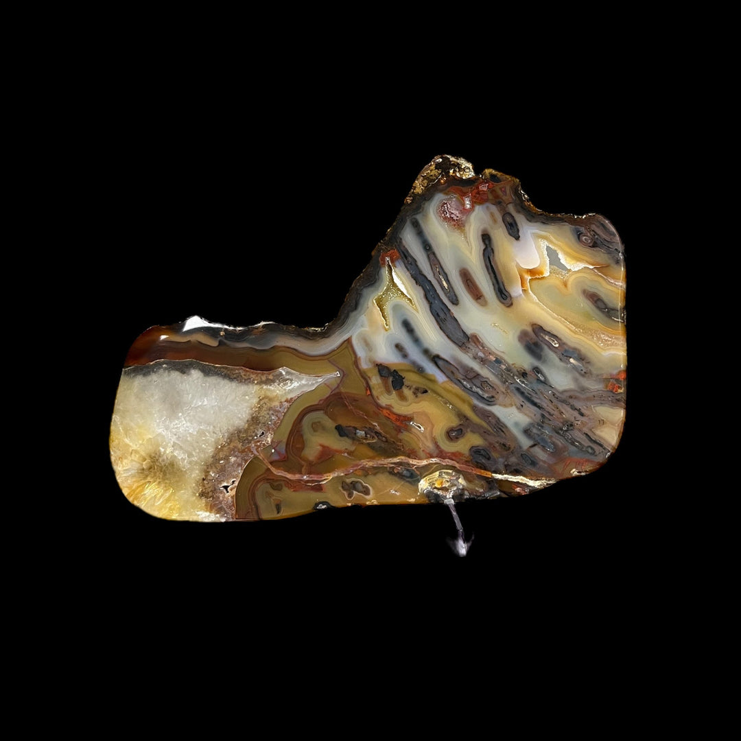 Polished Brazilian Agate Slice 3