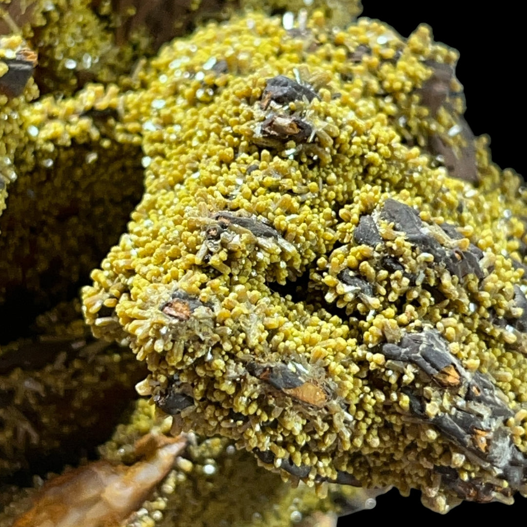 Pyromorphite Les Farges France DB29