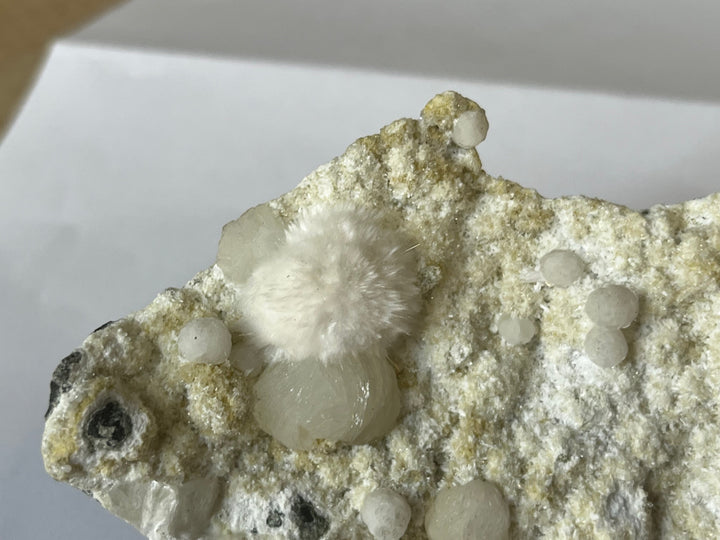 Okenit-Gyrolith Indien C116