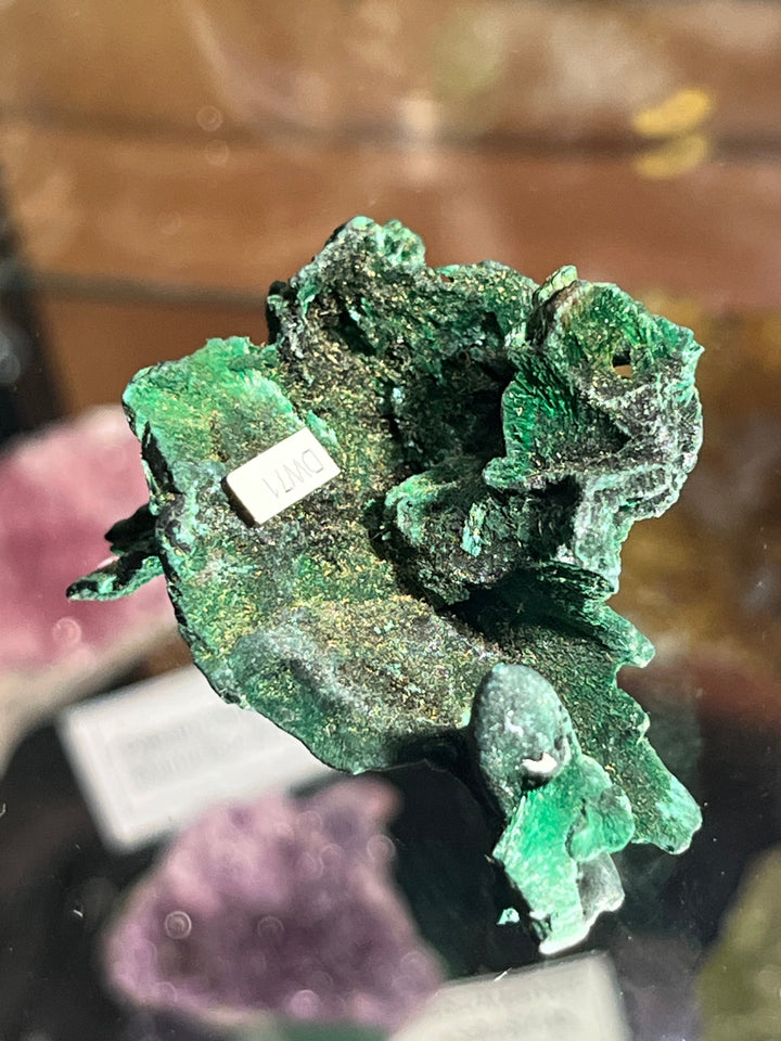 Malachite fibreuse DR Congo DW71