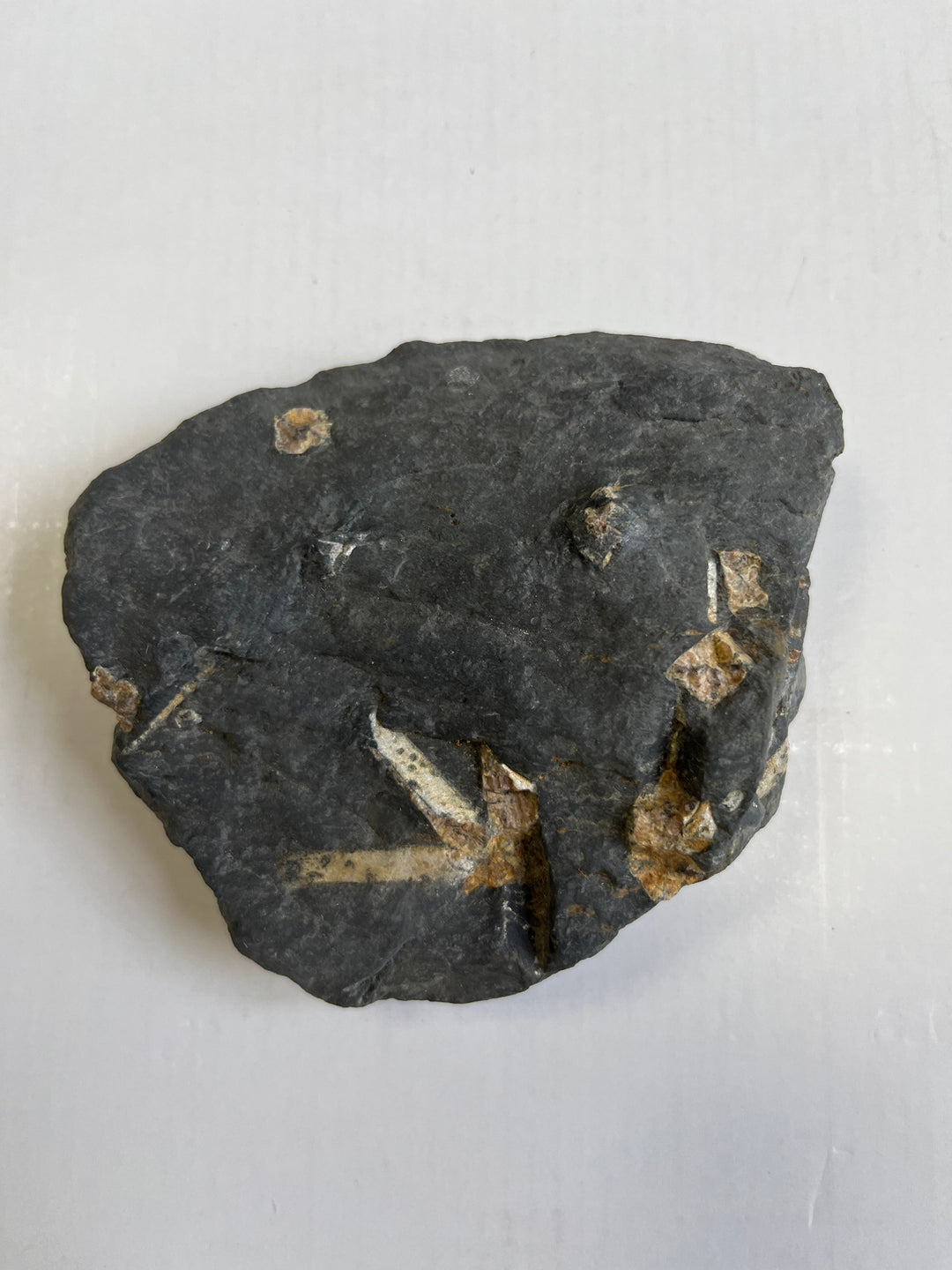 Andalusit var Chiastolith Frankreich DR200