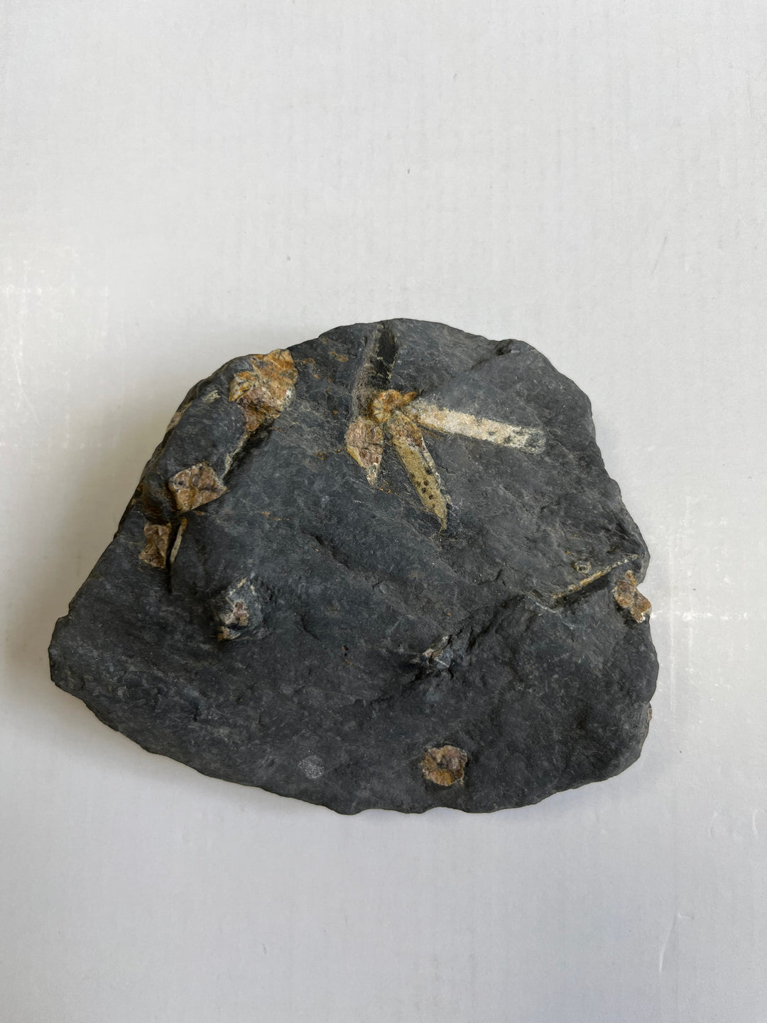 Andalusit var Chiastolith Frankreich DR200