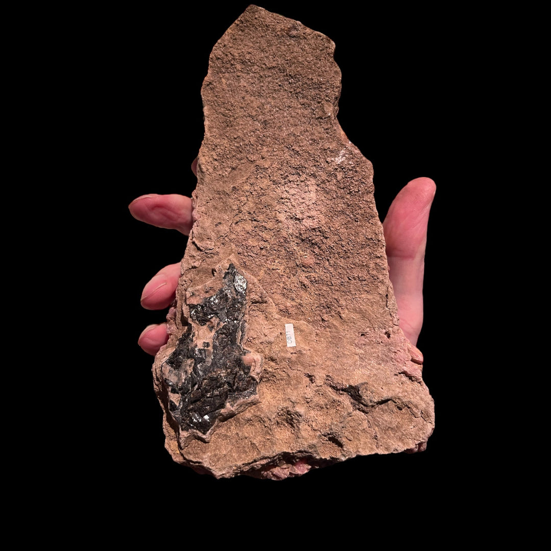 Rhodochrosite Emma Mine, Butte,Montana USA db71