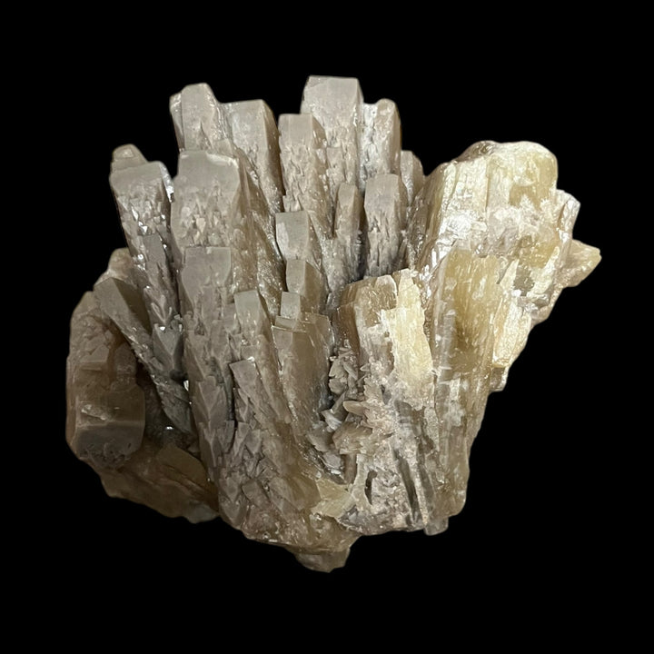 Baryte sifflet du Maine France